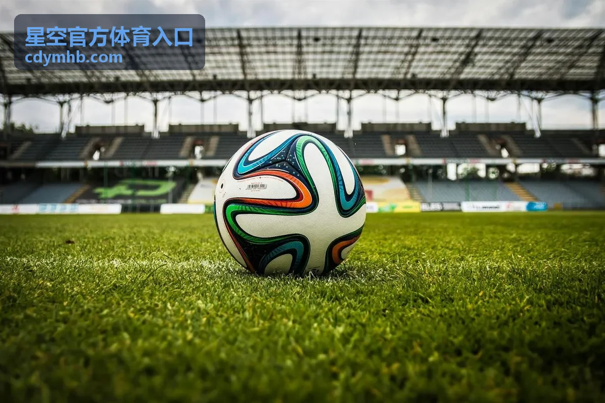 星空官方体育入口访问第四步的入口页面打开示意